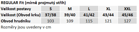 LARE REGULAR FIT Krátký rukáv 4